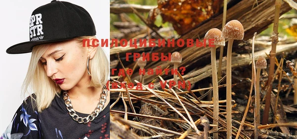 прущий лед Майский